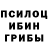 Псилоцибиновые грибы прущие грибы Juce Decimus