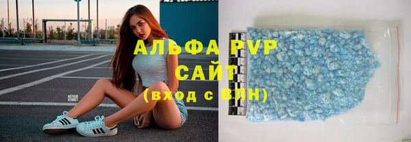 шишки Абаза