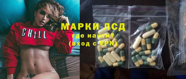 шишки Абаза