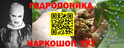 прущие крисы Краснодар