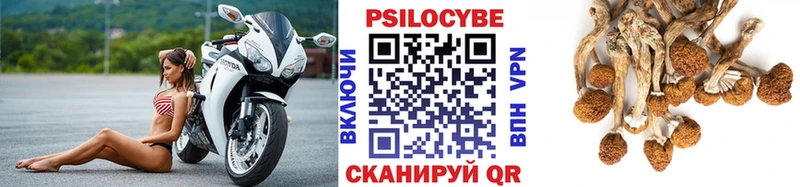Псилоцибиновые грибы прущие грибы  Дубна 