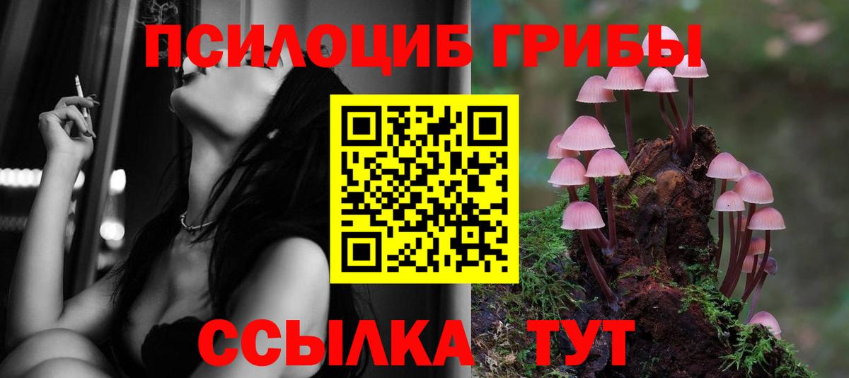 Псилоцибиновые грибы прущие грибы Дубна