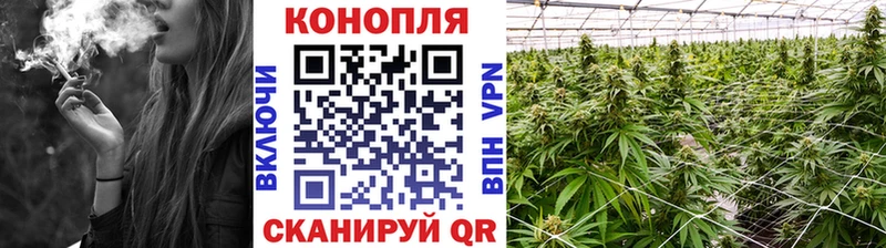Конопля планчик МЕГА как войти Дубна